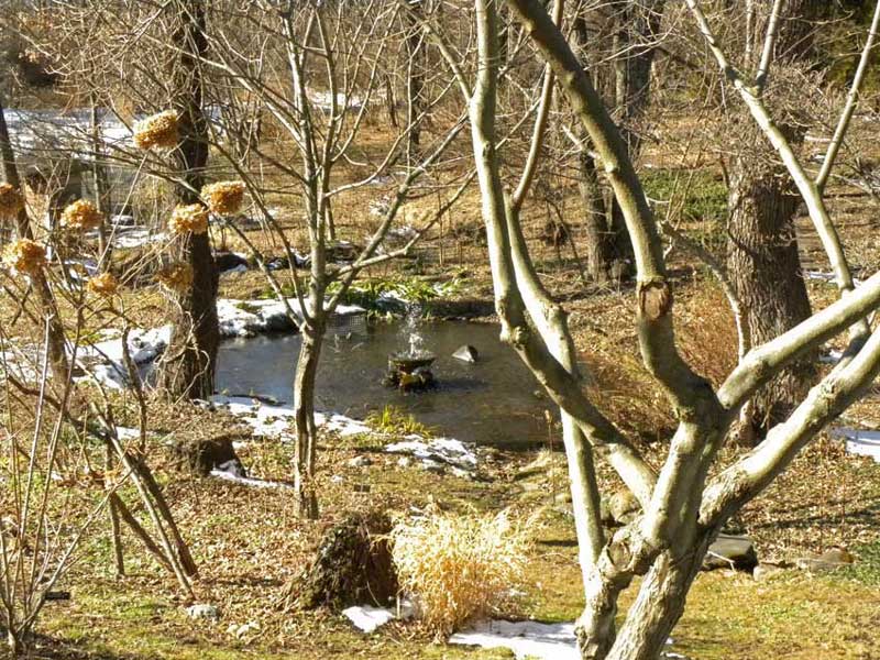 寒中の噴水池 寒中の噴水池