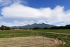 八ヶ岳の麓、紅葉の始まり
