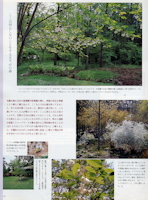 BISES 2004.10[秋号] 121ページ