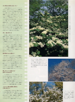 BISES 2004.10[秋号] 123ページ