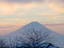一年を通して富士山の眺望を楽しめる土地柄、やはり冬の富士は凛々しい！。