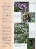 BISES 2004.10[秋号] 119ページ